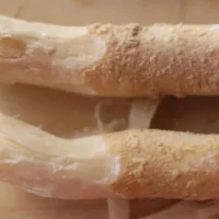 Miswak